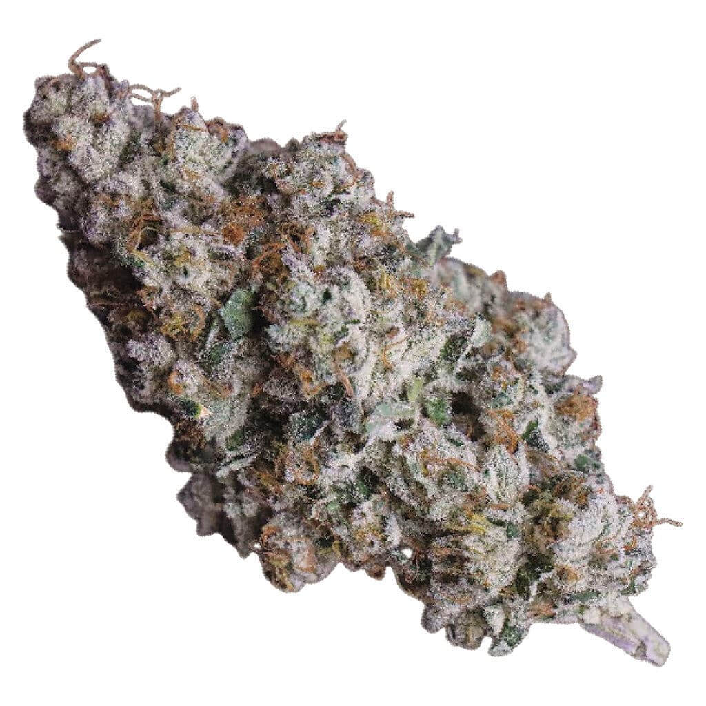 Royale Lemon Royale White