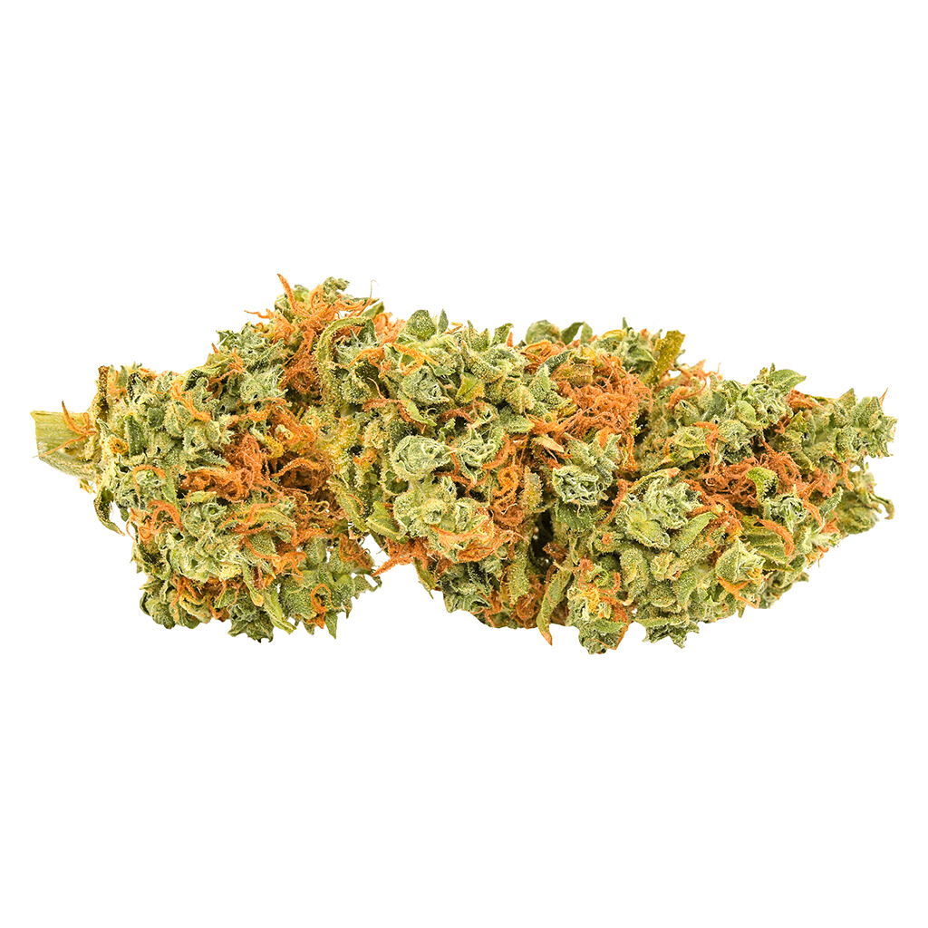 Haze William’s Wonder 2.7% Terpenes
