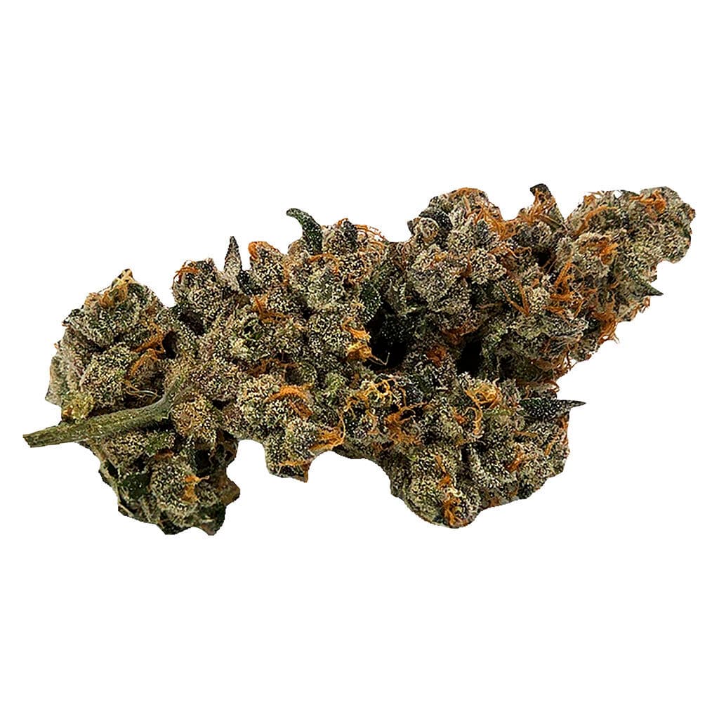 Bluenose Berry