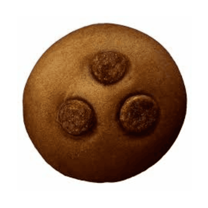 Double Chocolate Biscuit