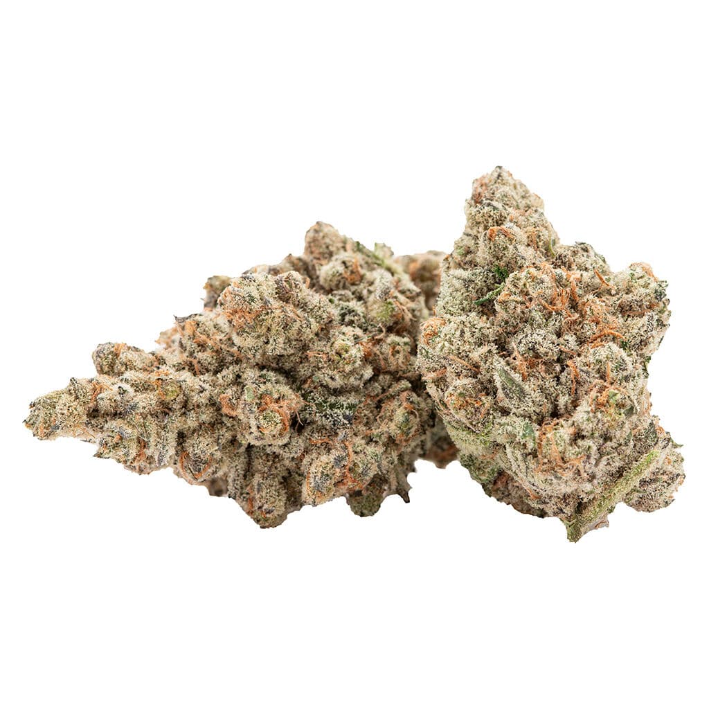 Kush Fest Platinum Gusherz Hybrid