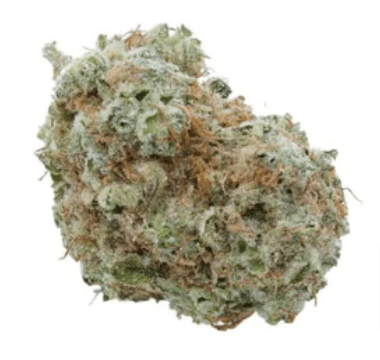White Widow