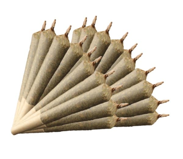 Indica Pre Roll