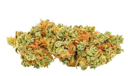 Red Headed Stranger