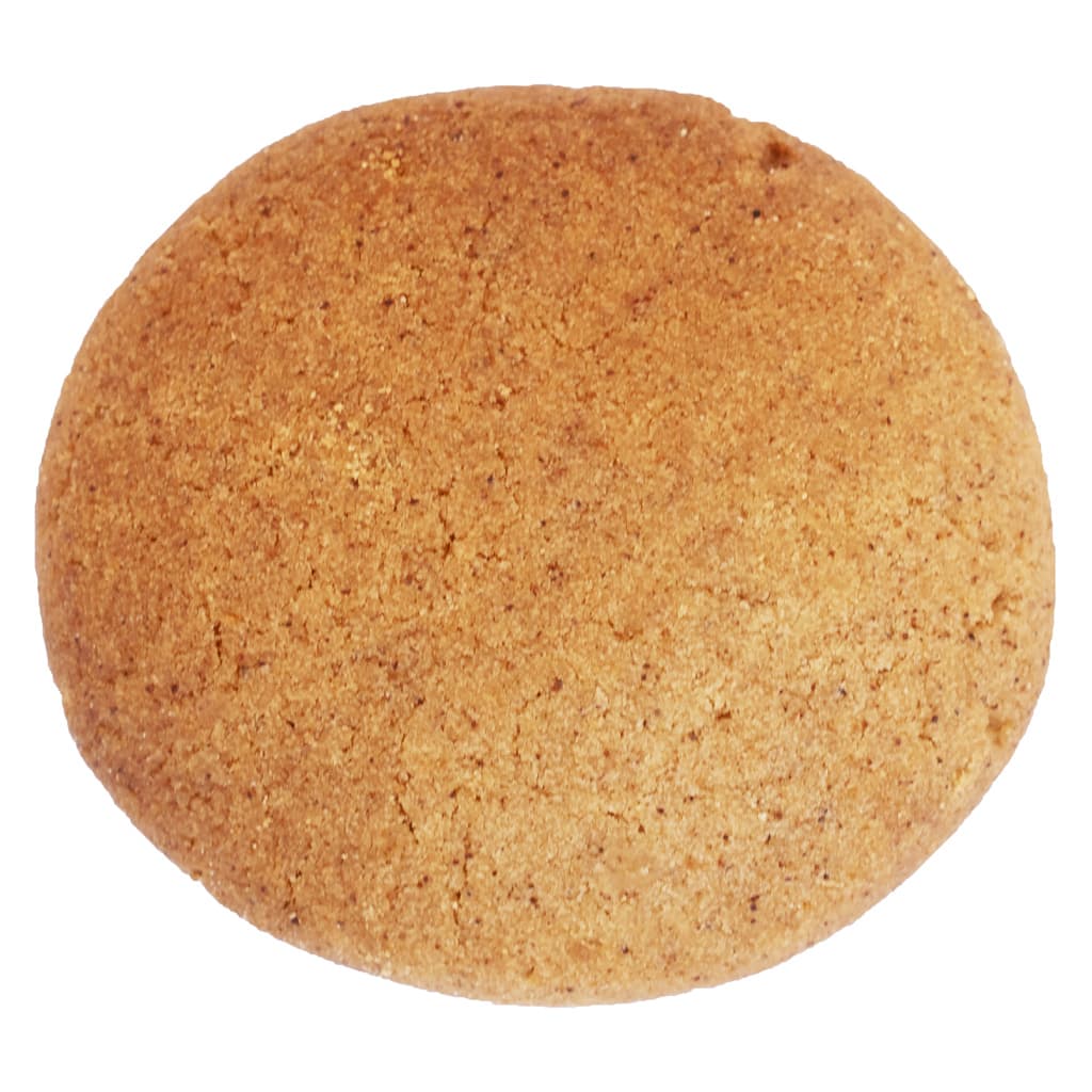 Cinnamon Biscuit