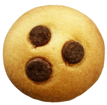 Chocolate Chip Biscuit 1pc