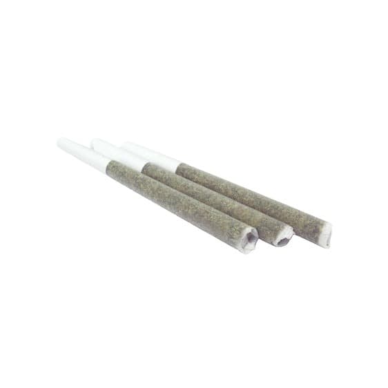 Bc Grizzly Preroll