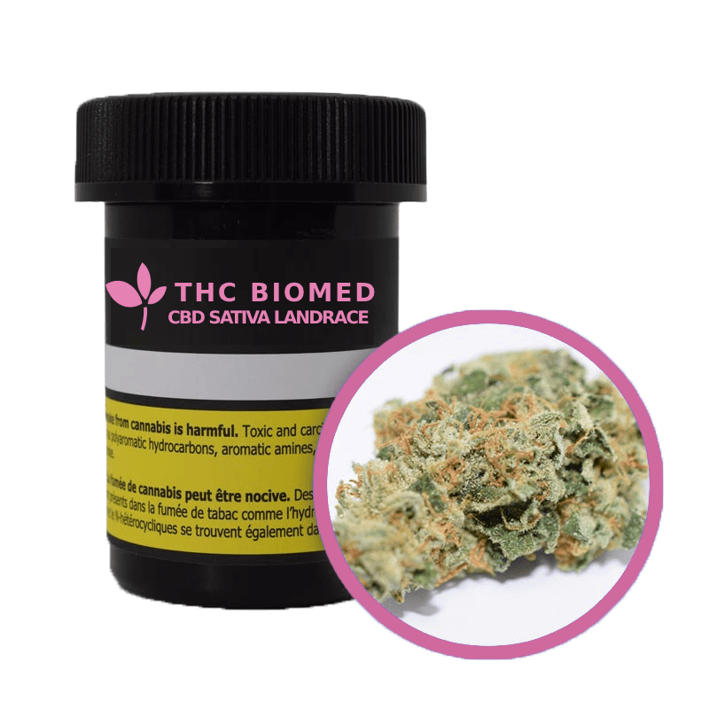 Cbd Sativa Landrace