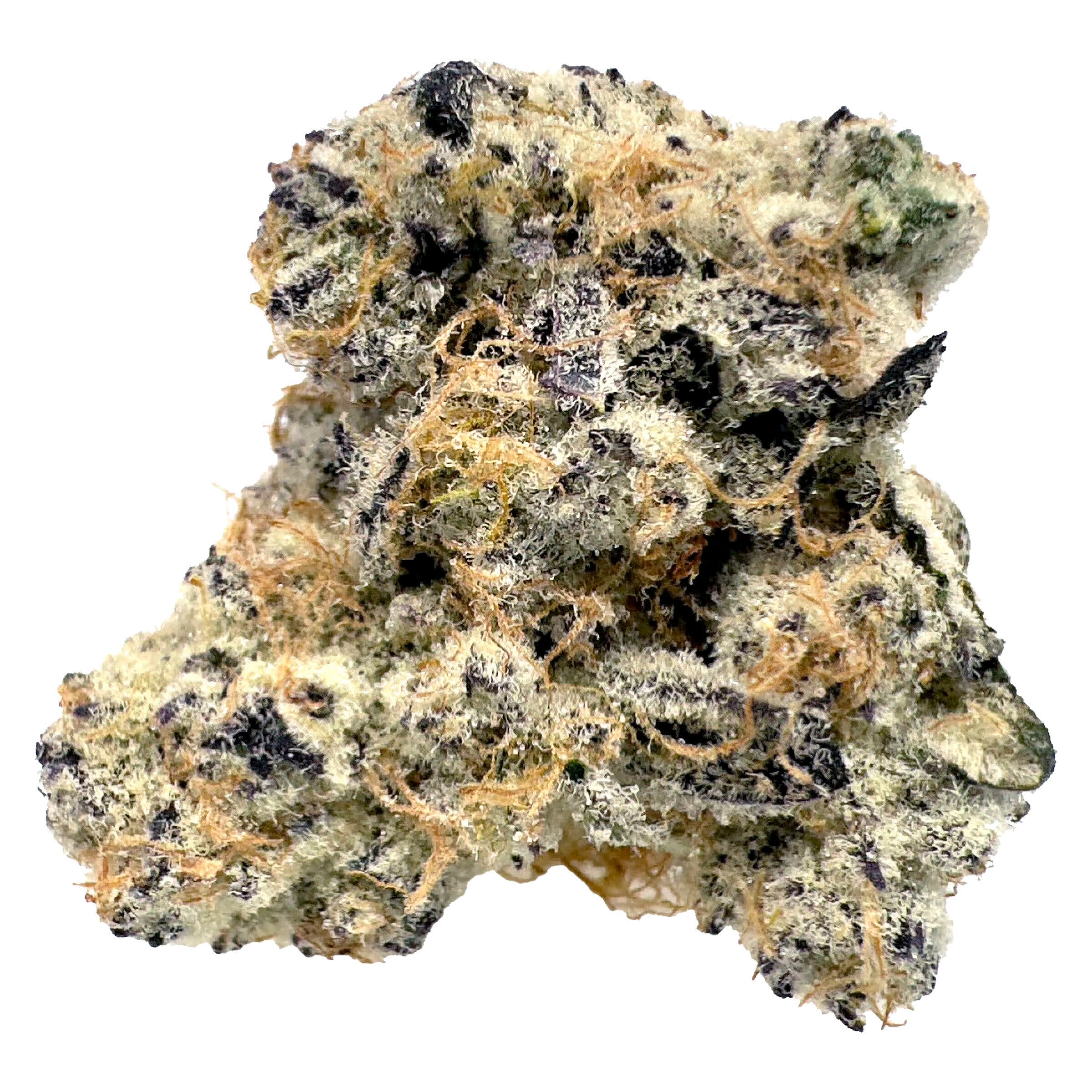 Blk Mkt Exclusives