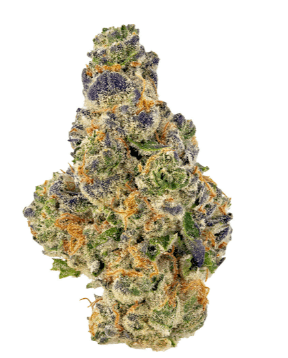 Bc Organic Pineapple Sour