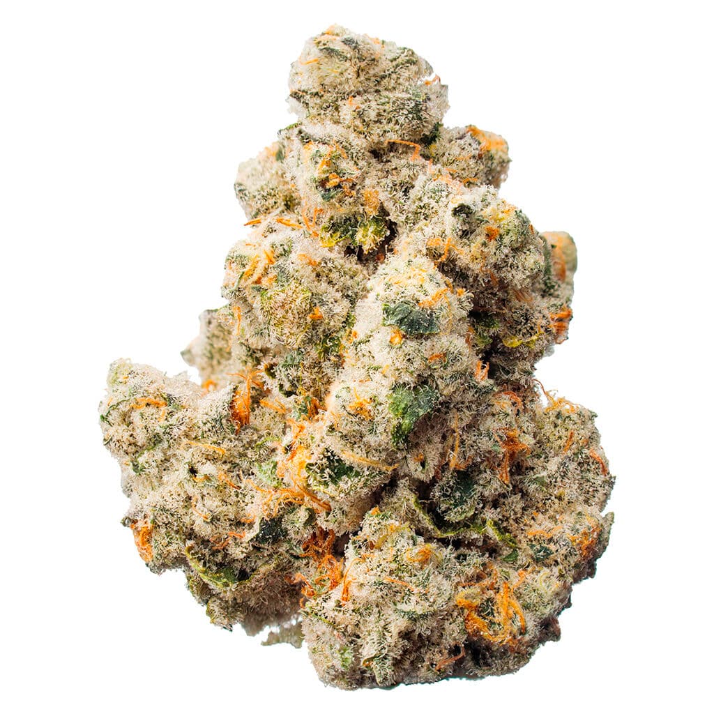 Blowfish G13 Oregon Funk Blue