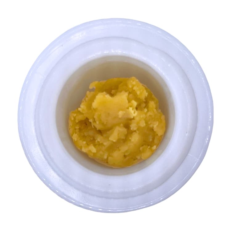 Black Cherry Gelato Live Rosin