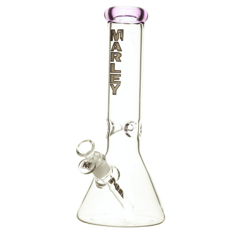 Comfort Beaker Bong Purple