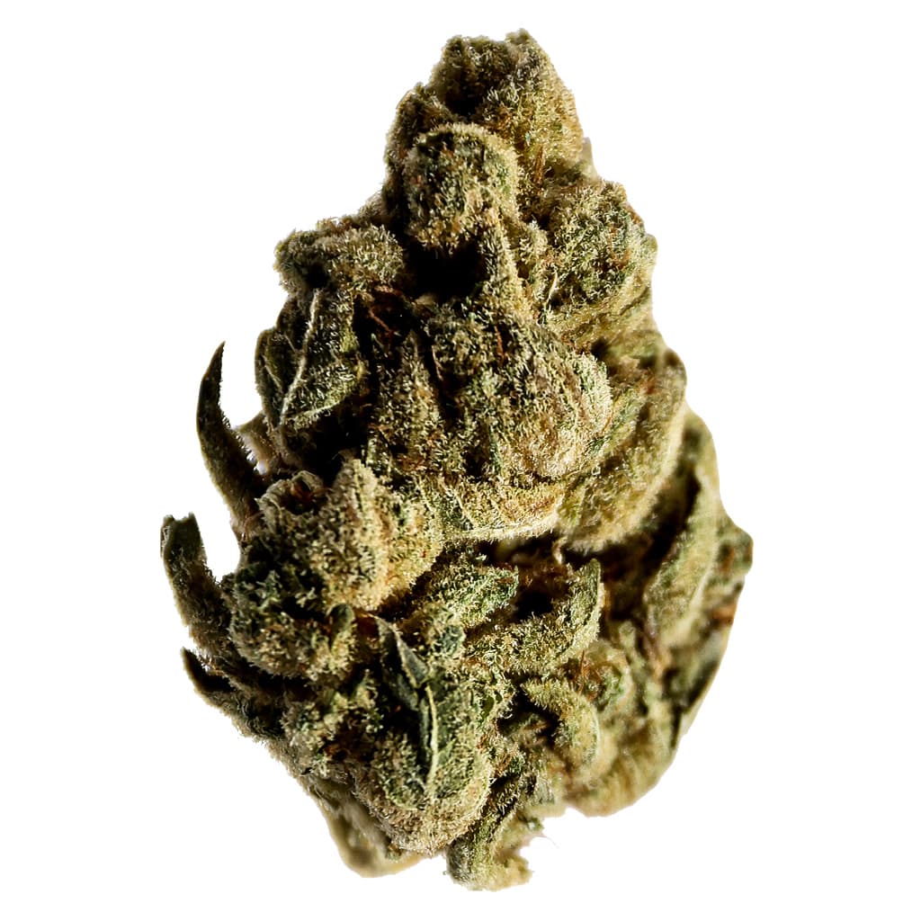 Candy Cane Kush