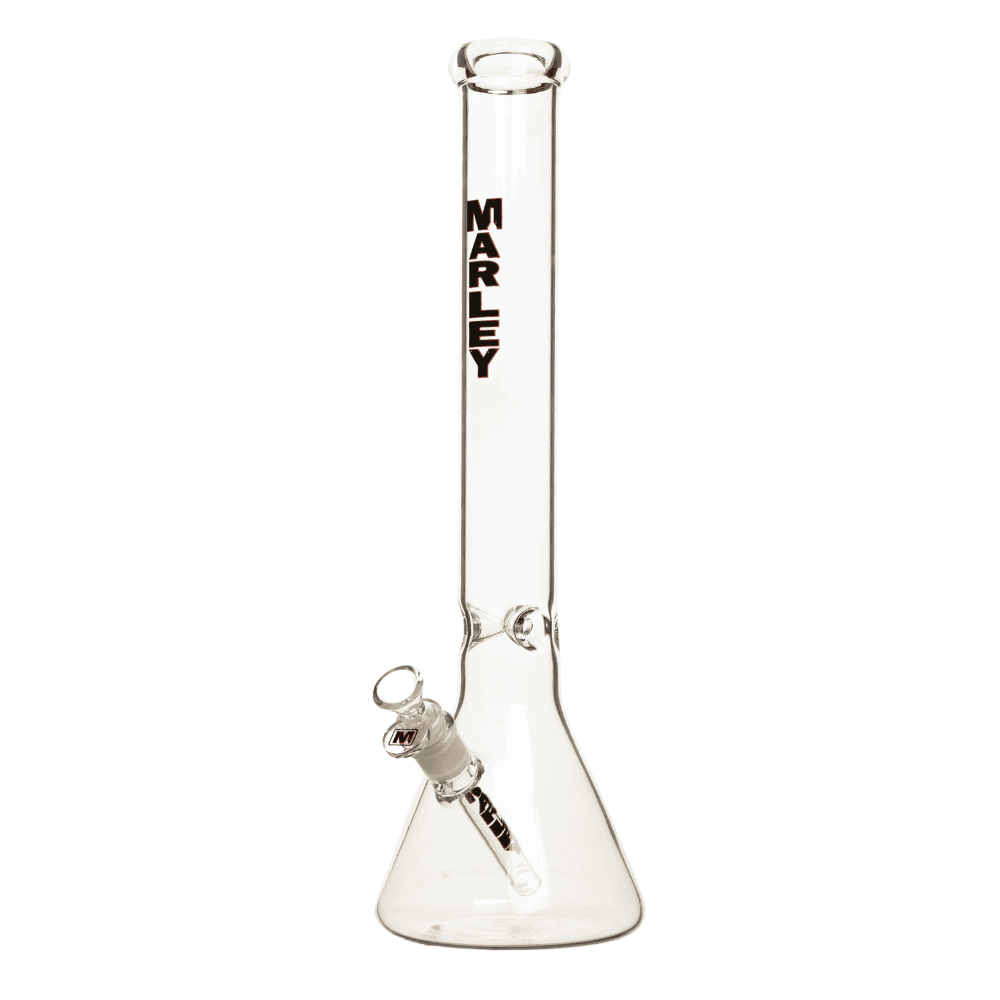 Beaker Bong Platinum