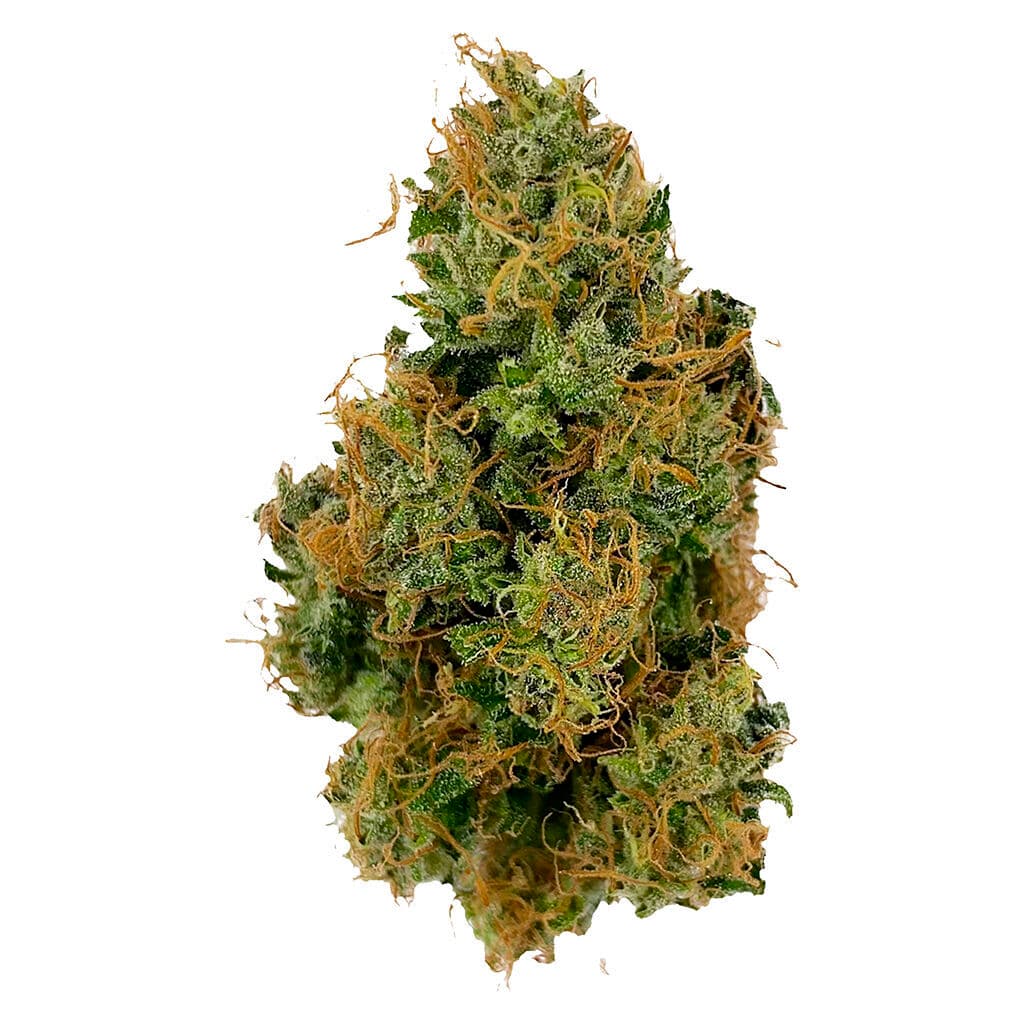 Afghani Indica