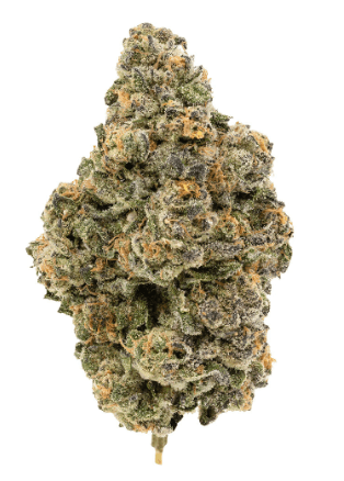 Bc Organic White Rainbow