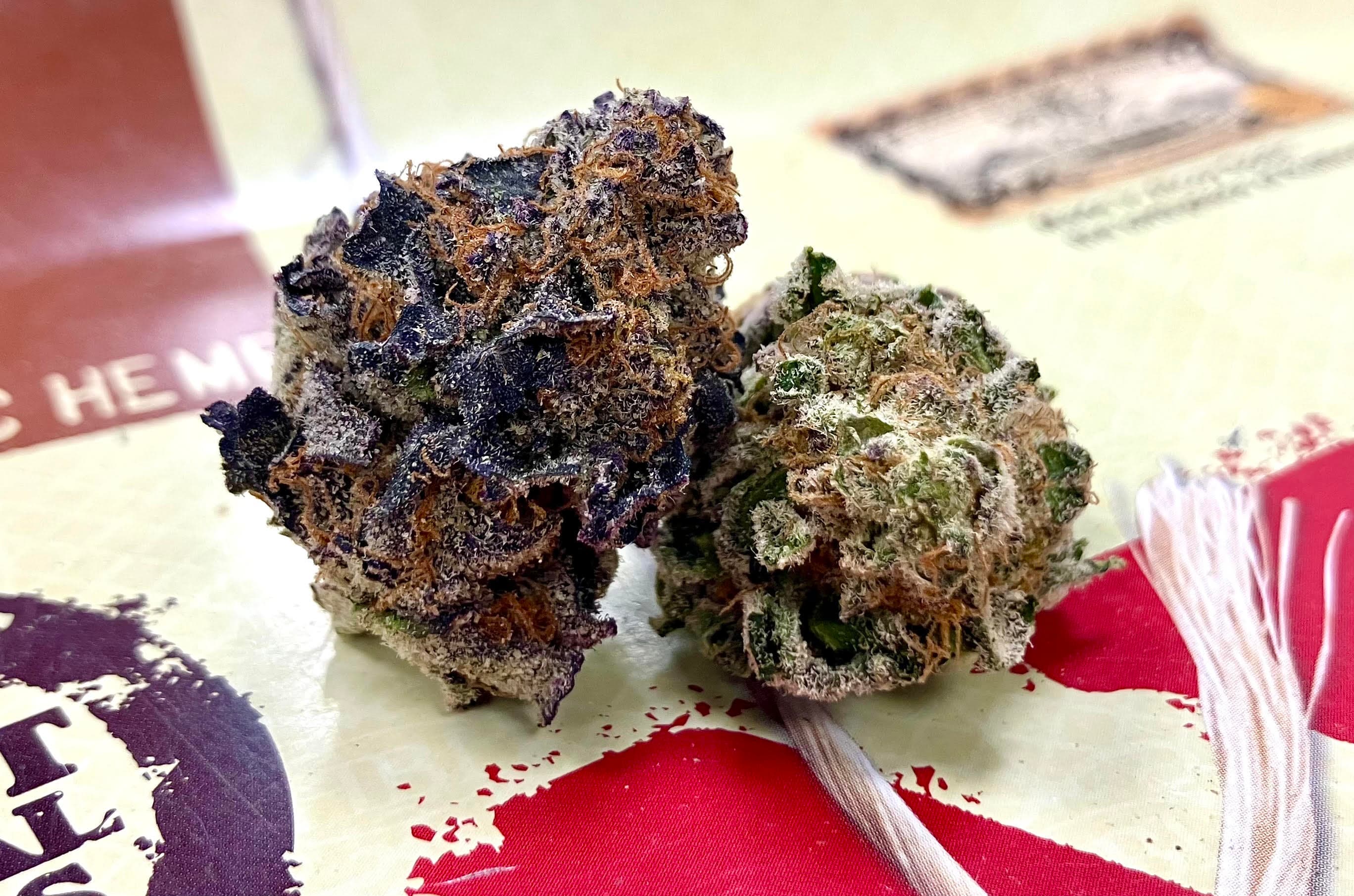 The Healing Canna