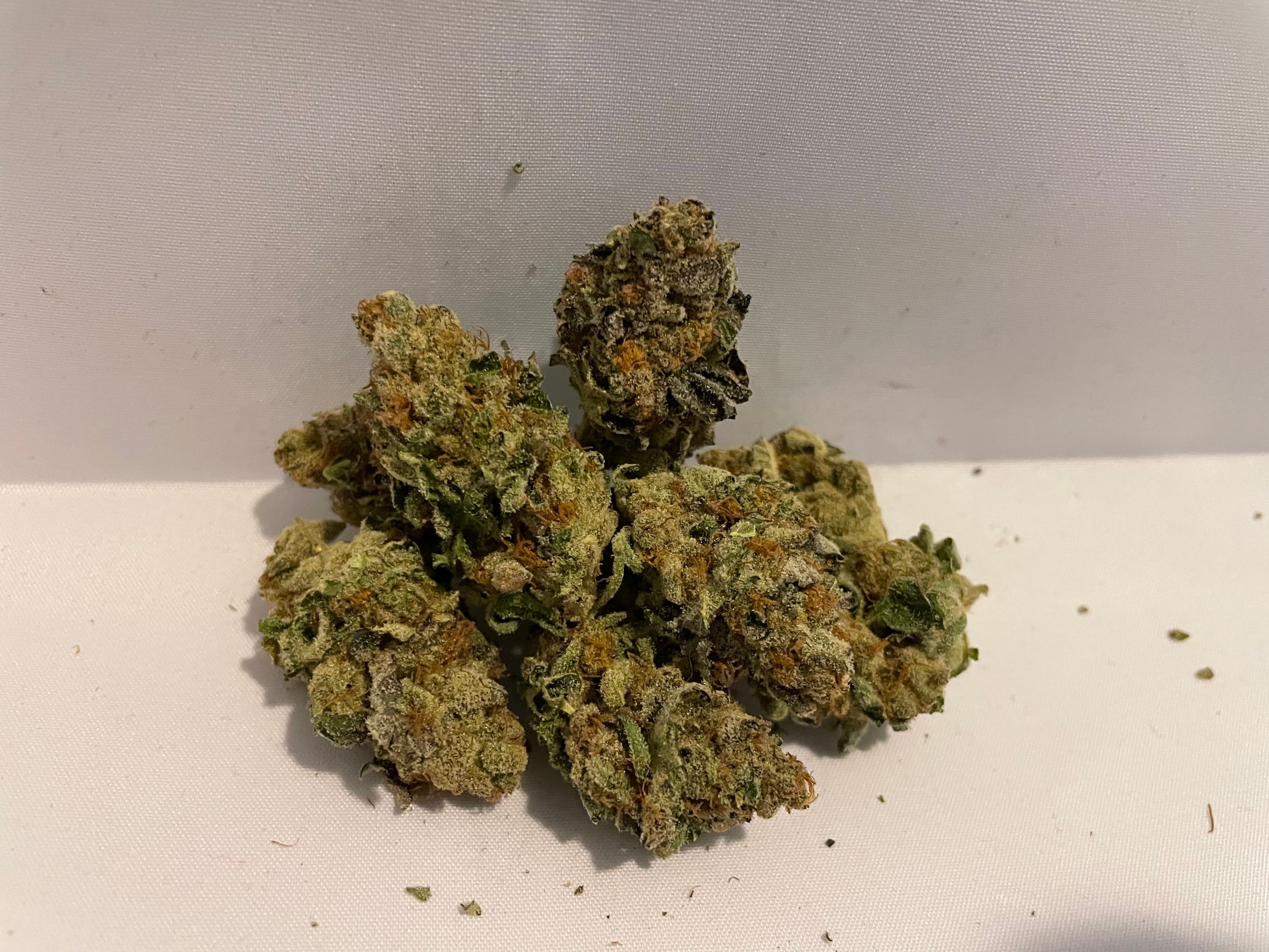 The Healing Canna
