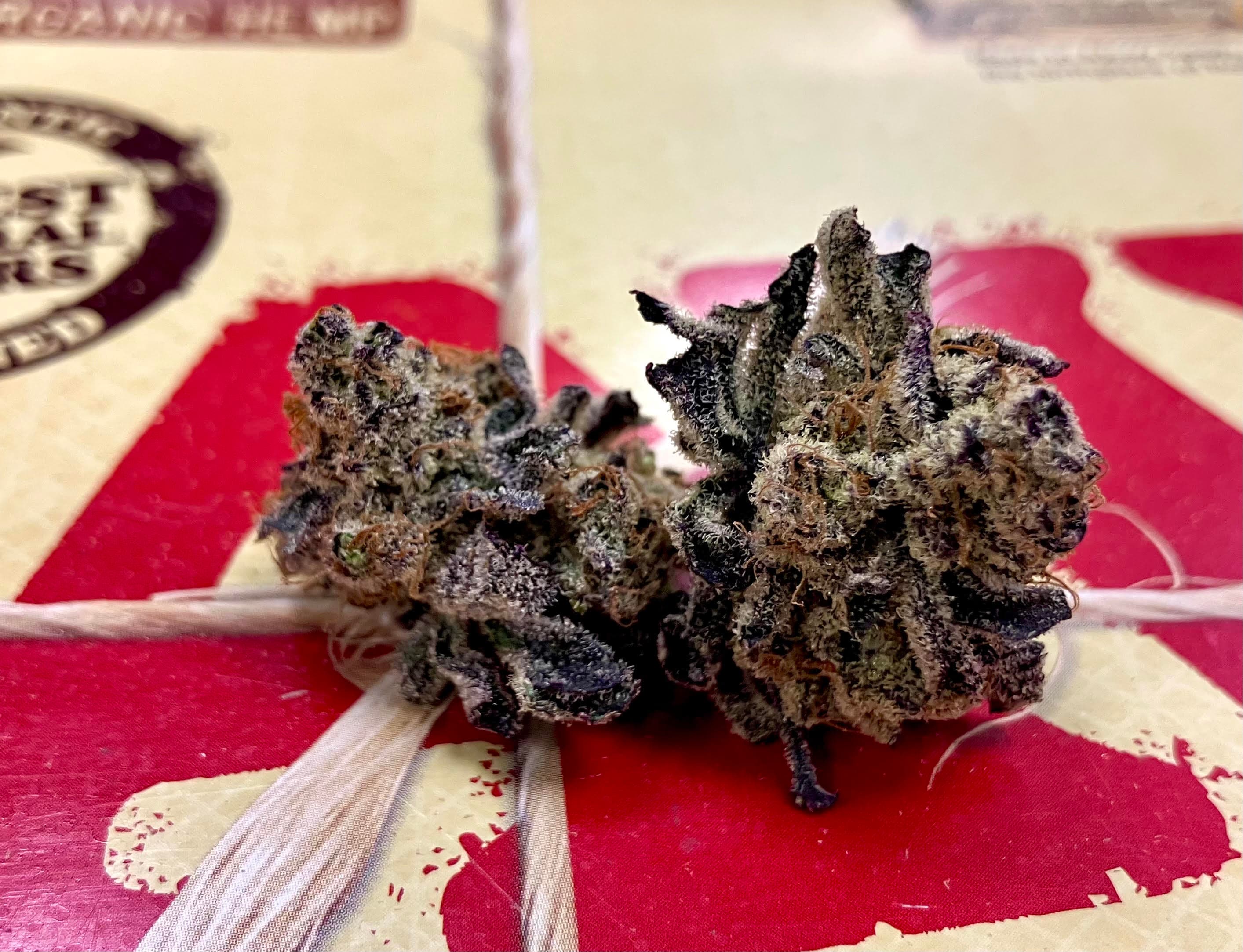 The Healing Canna