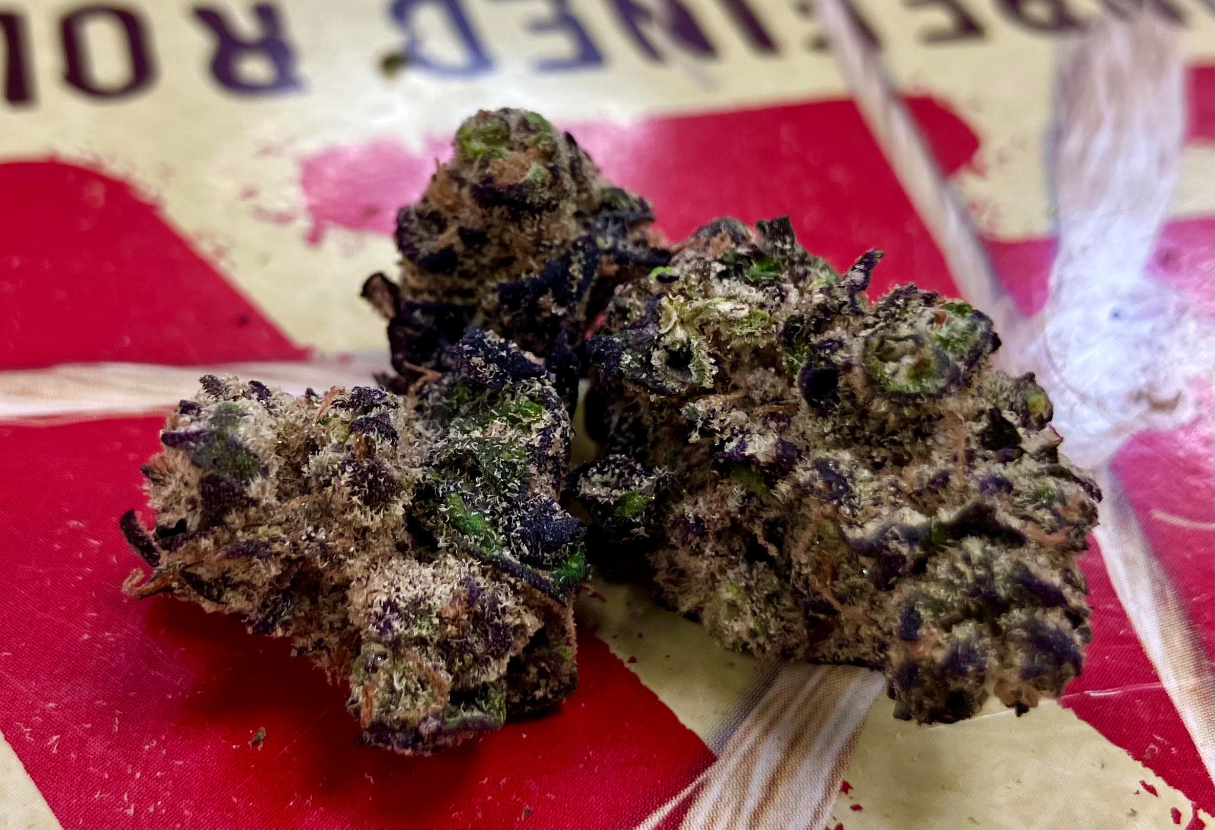 The Healing Canna
