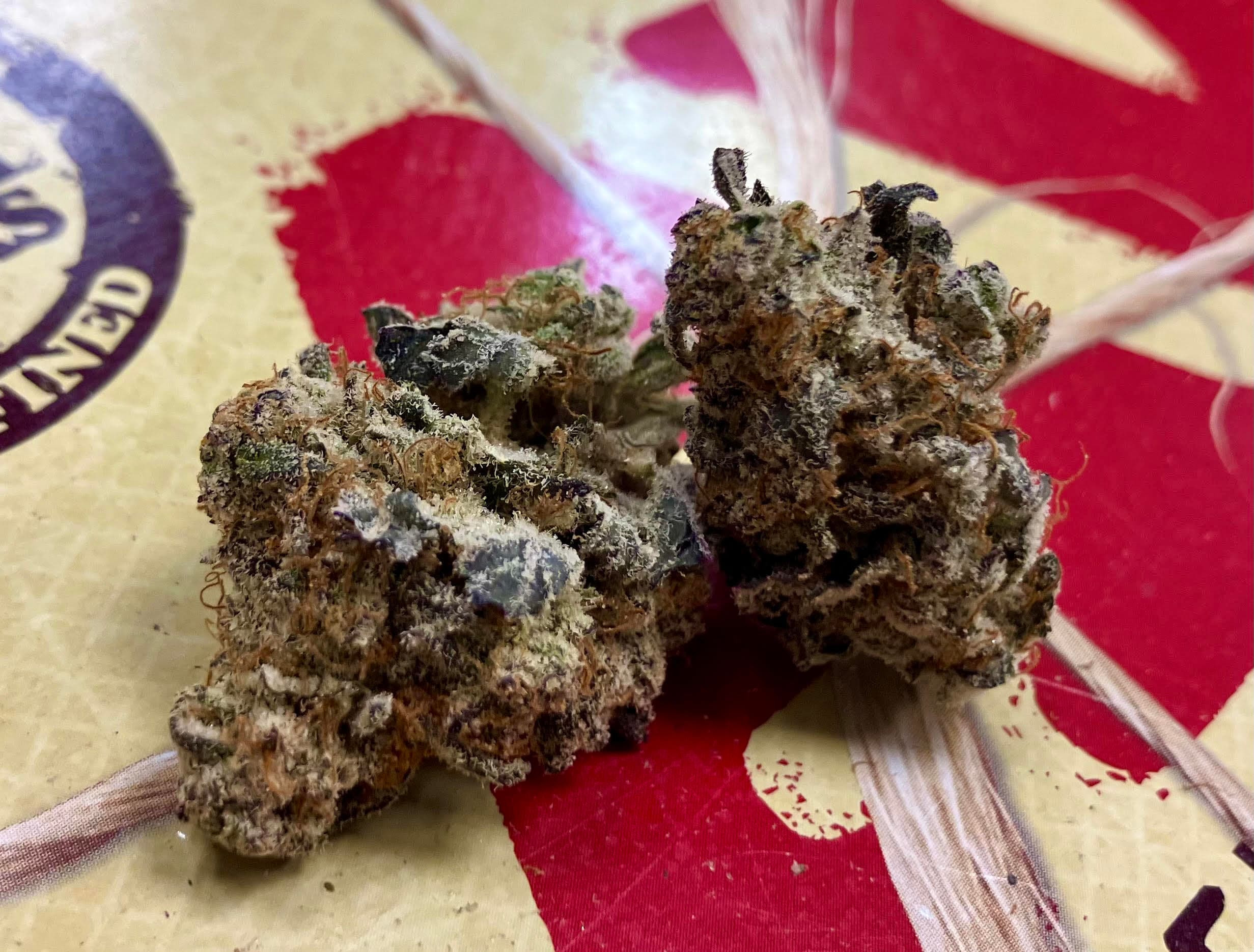 The Healing Canna