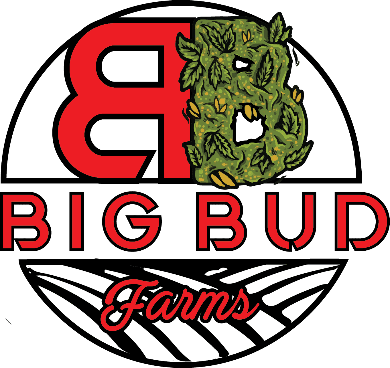 Big Bud Farms Big Bud Farms Disposable Vape 1g Super Lemon Haze