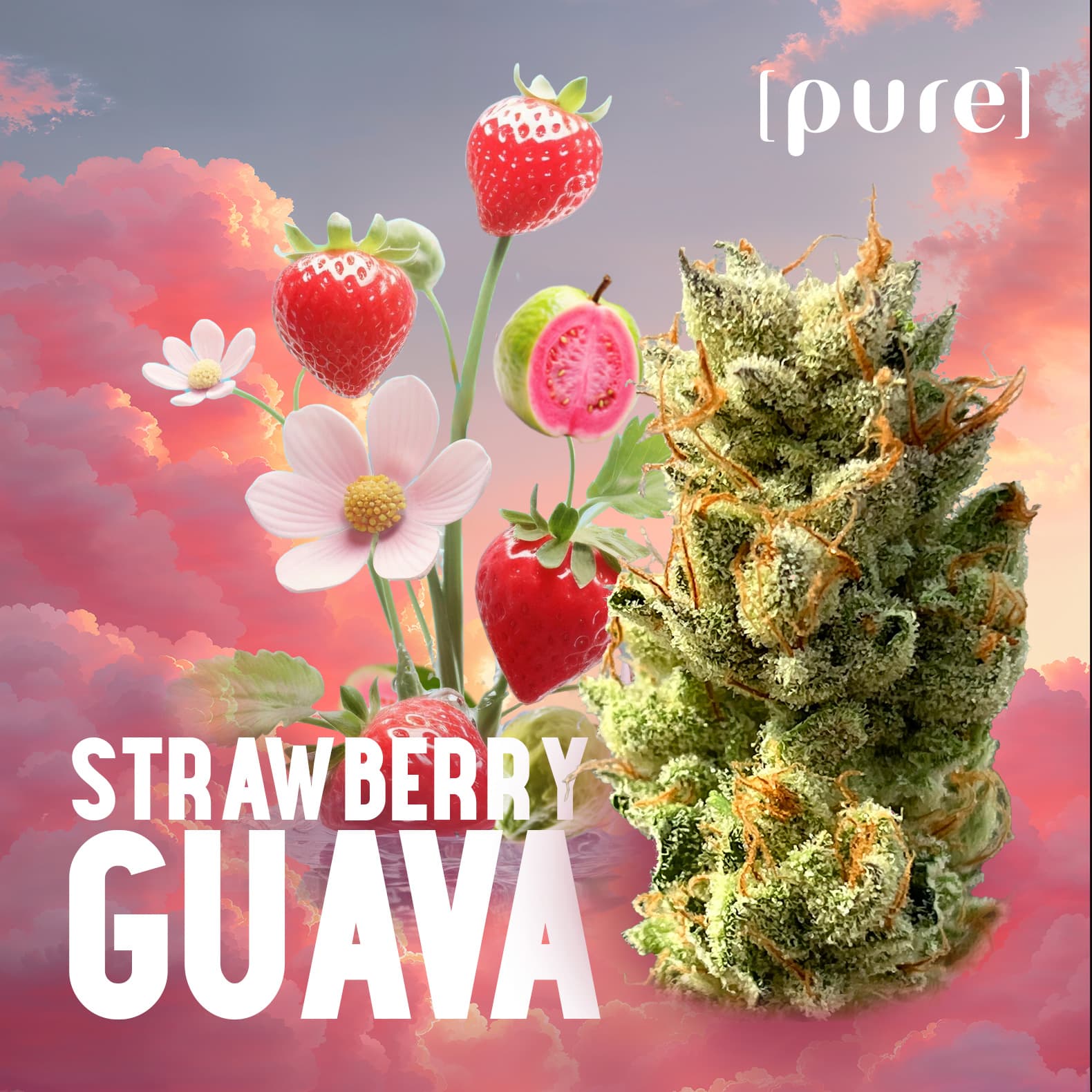 Pure Farms Strawberry Guava