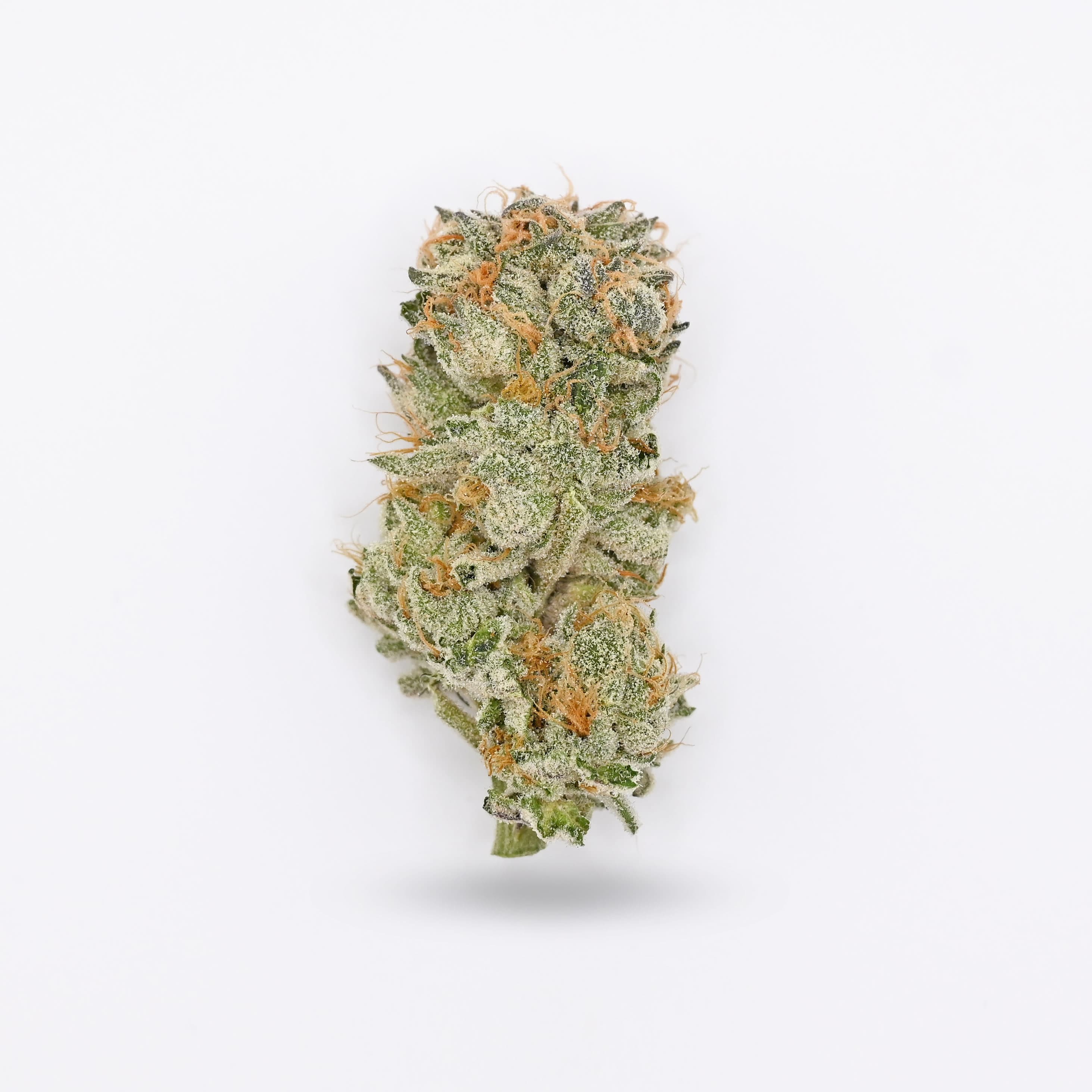 Pure Farms Fruity Loop