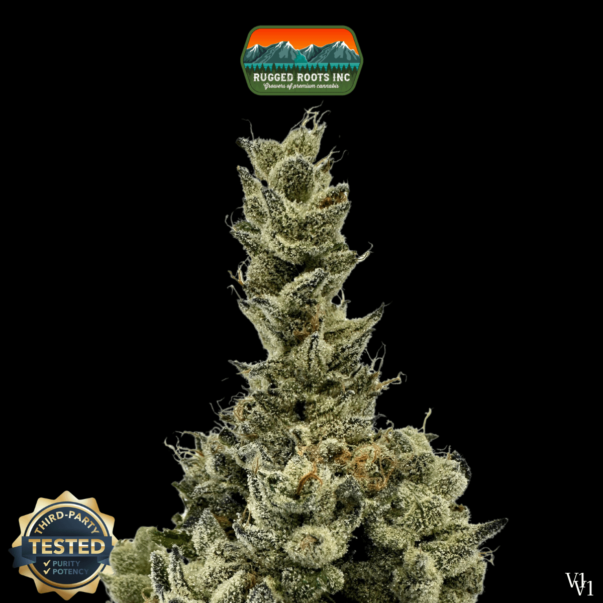 Rugged Roots Rugged Roots | Icy Mac 3.5g