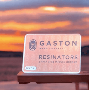 Gaston