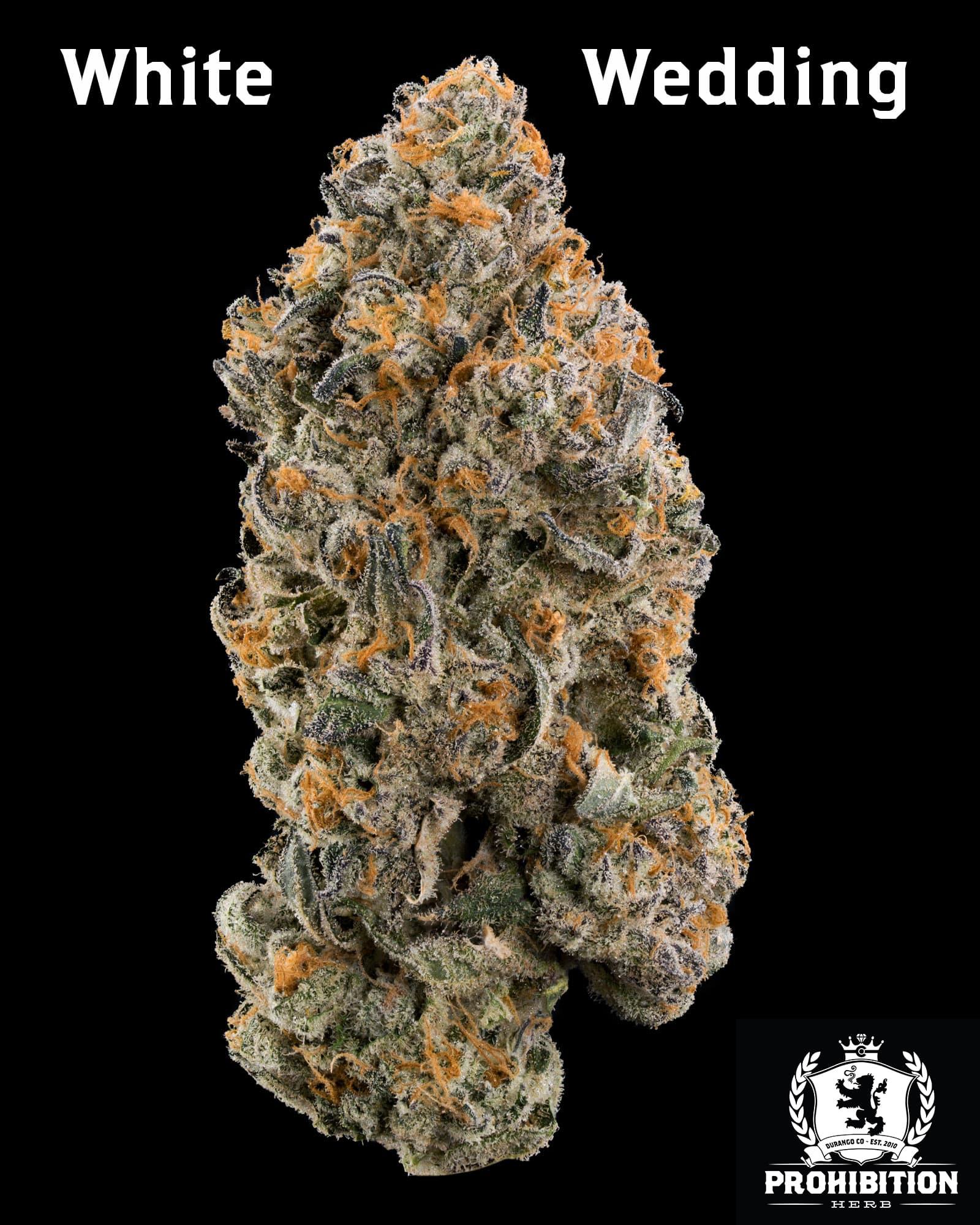 Prohibition Herb