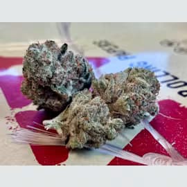 The Healing Canna