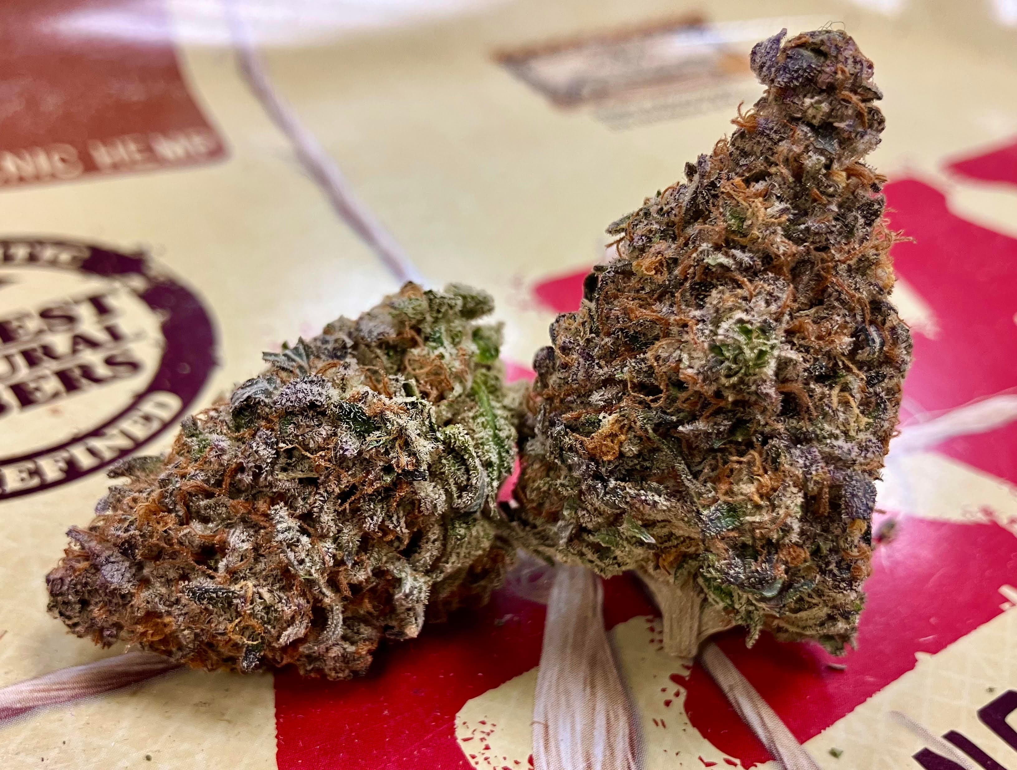 The Healing Canna