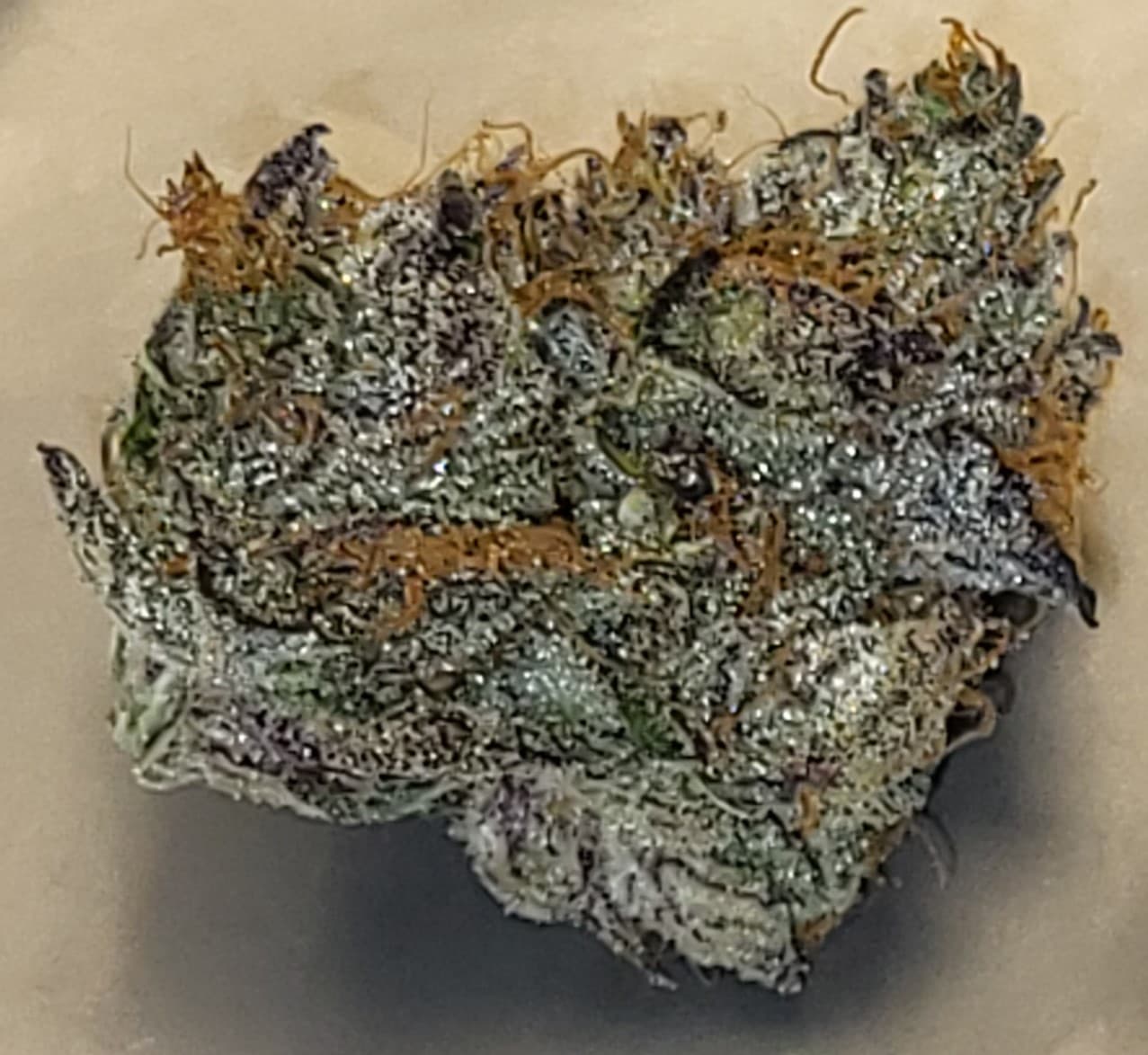 The Healing Canna