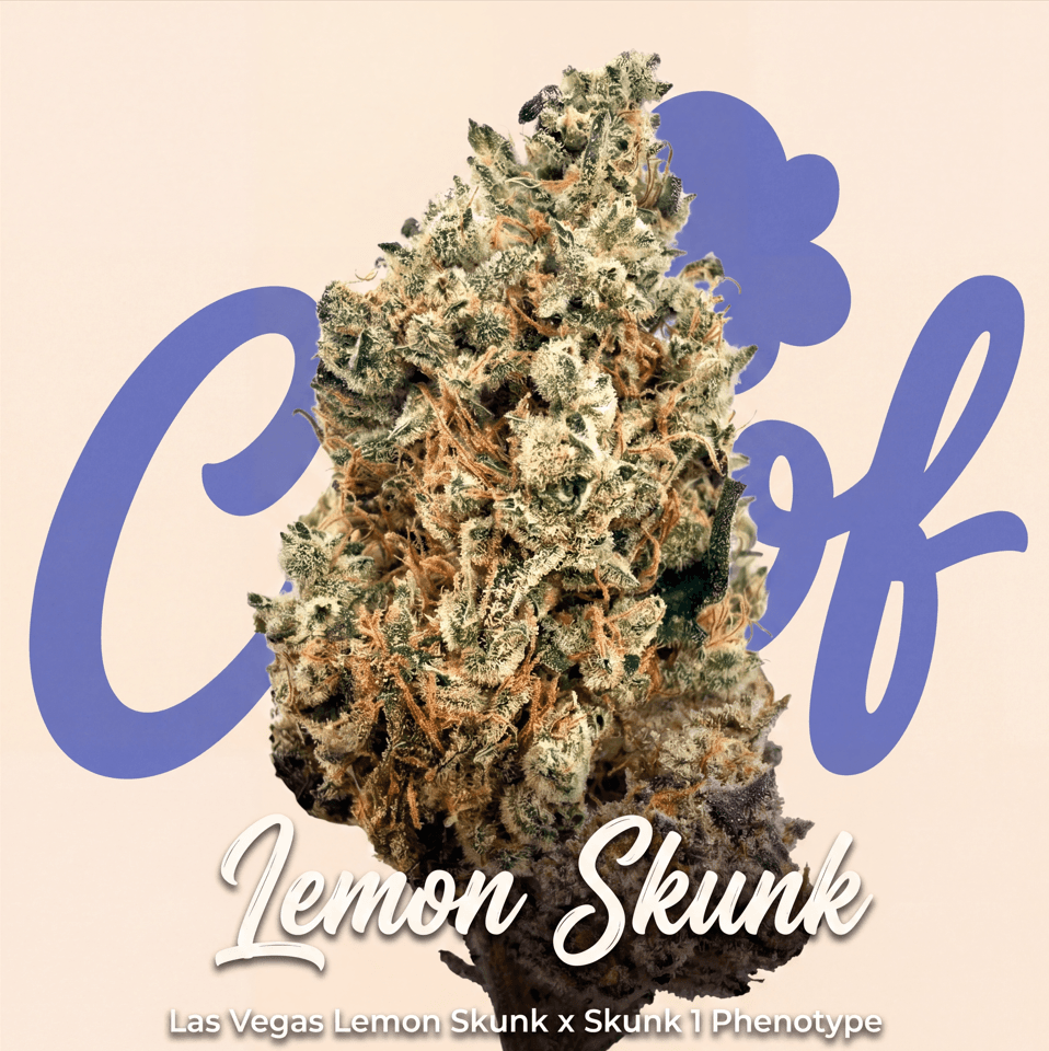 Choof Lemon Skunk