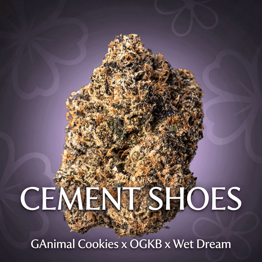 Blossomz Cement Shoes