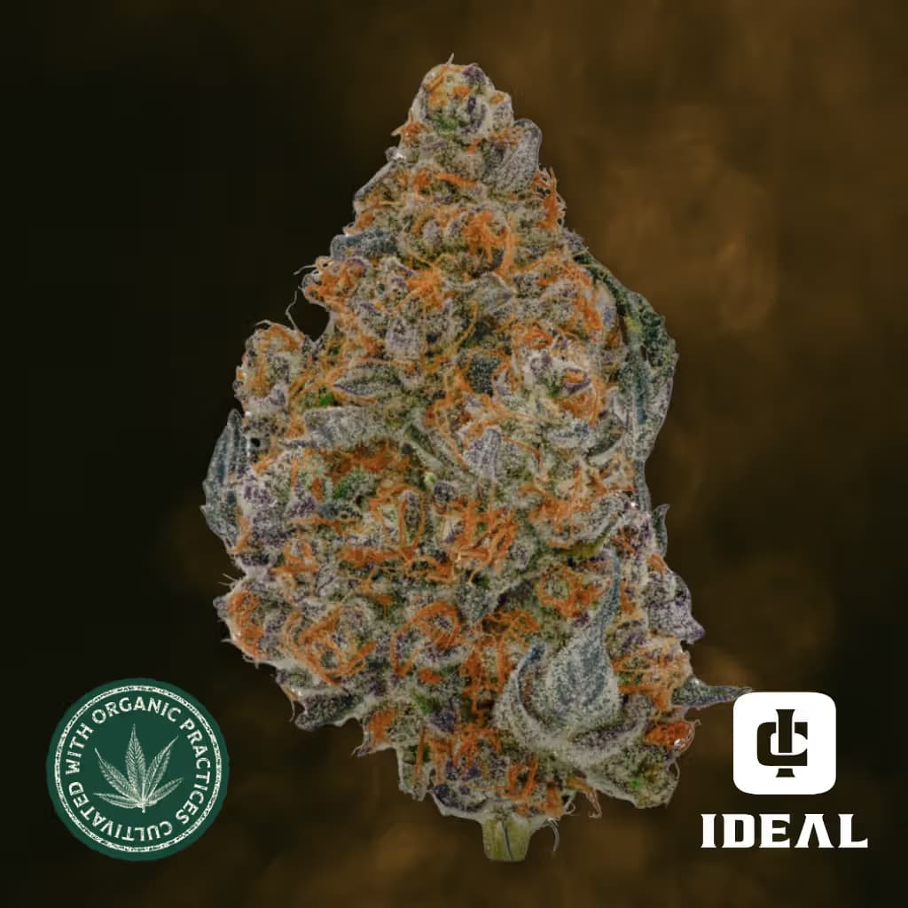 Ideal Cannabis