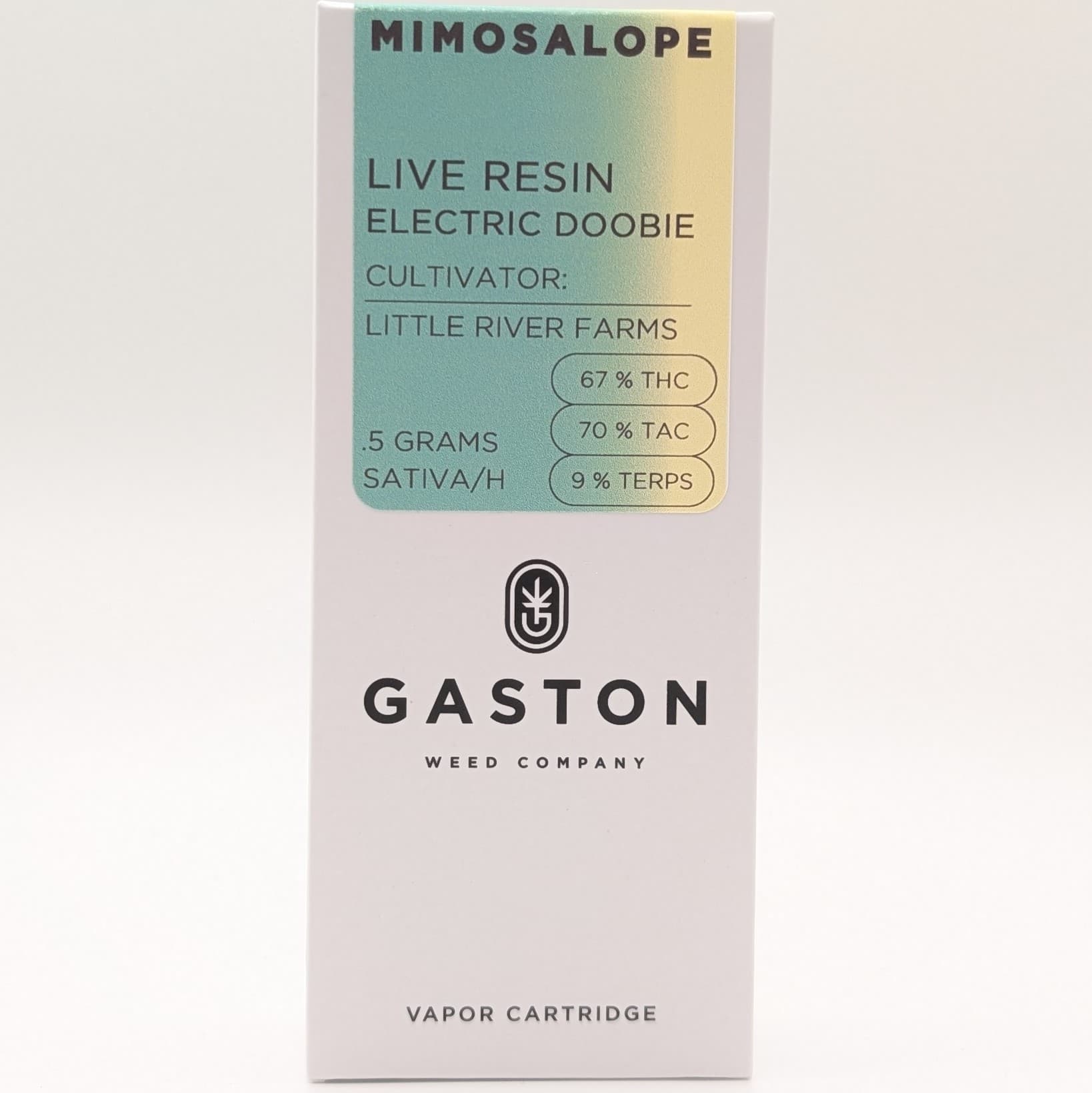 Gaston