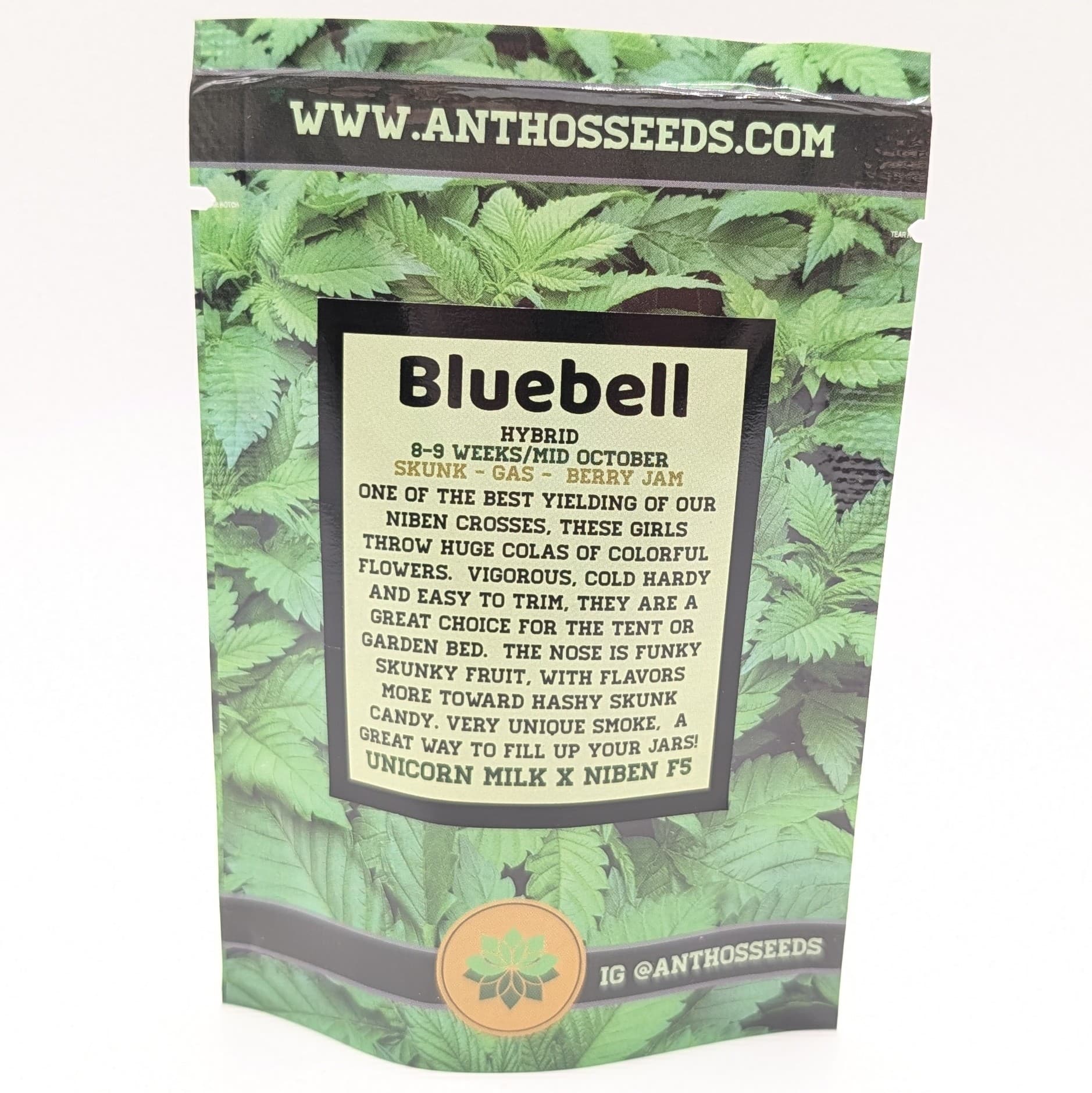 6 Pack Feminized Seeds: Bluebell