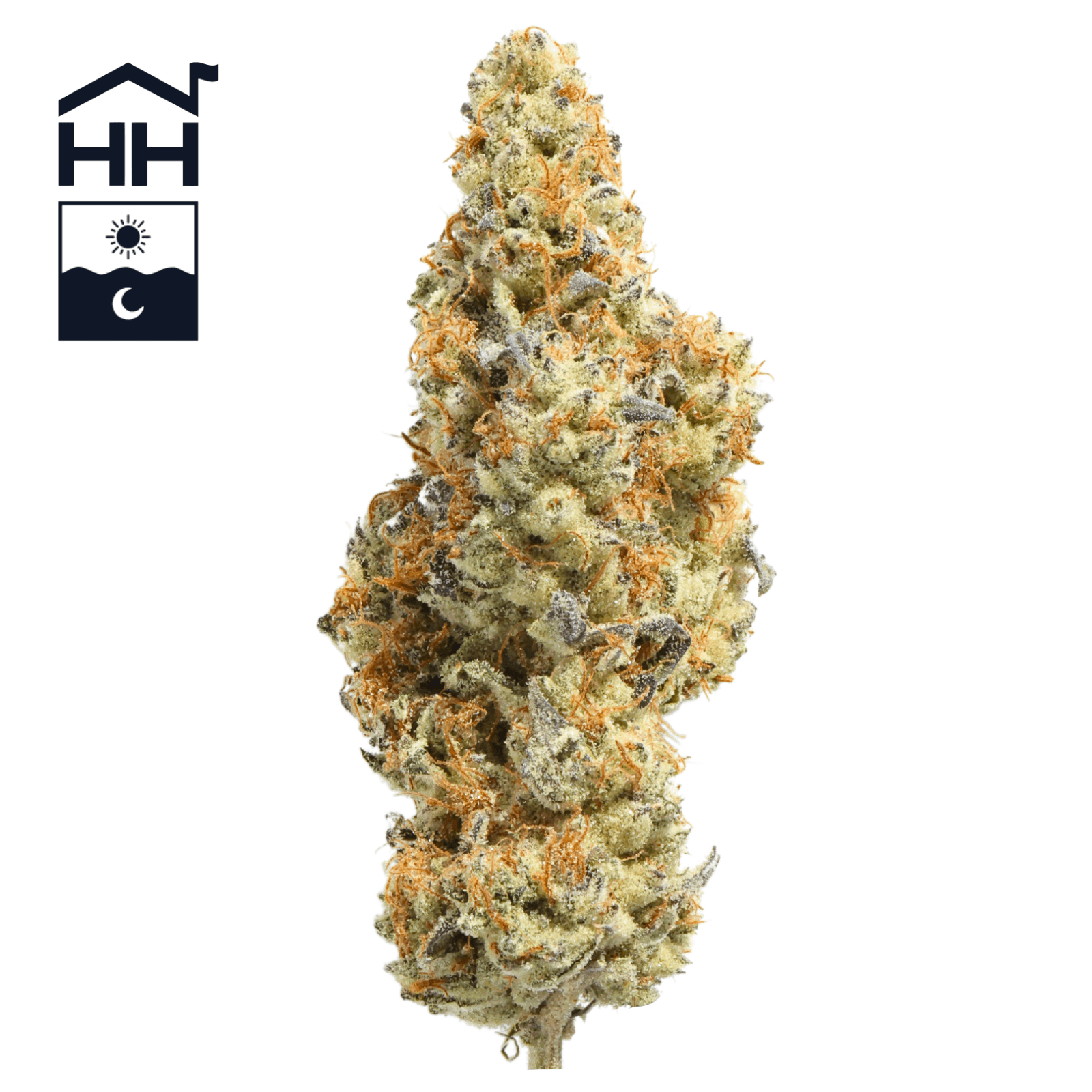 Harbor House Collective Harbor House Triangle Kush 0.5g Pre- Roll