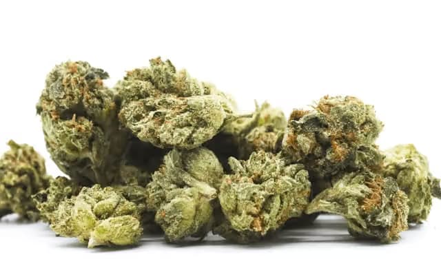 Humboldt Farms GMO Pop | 3.5g Flower