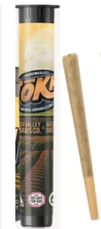 Tokh