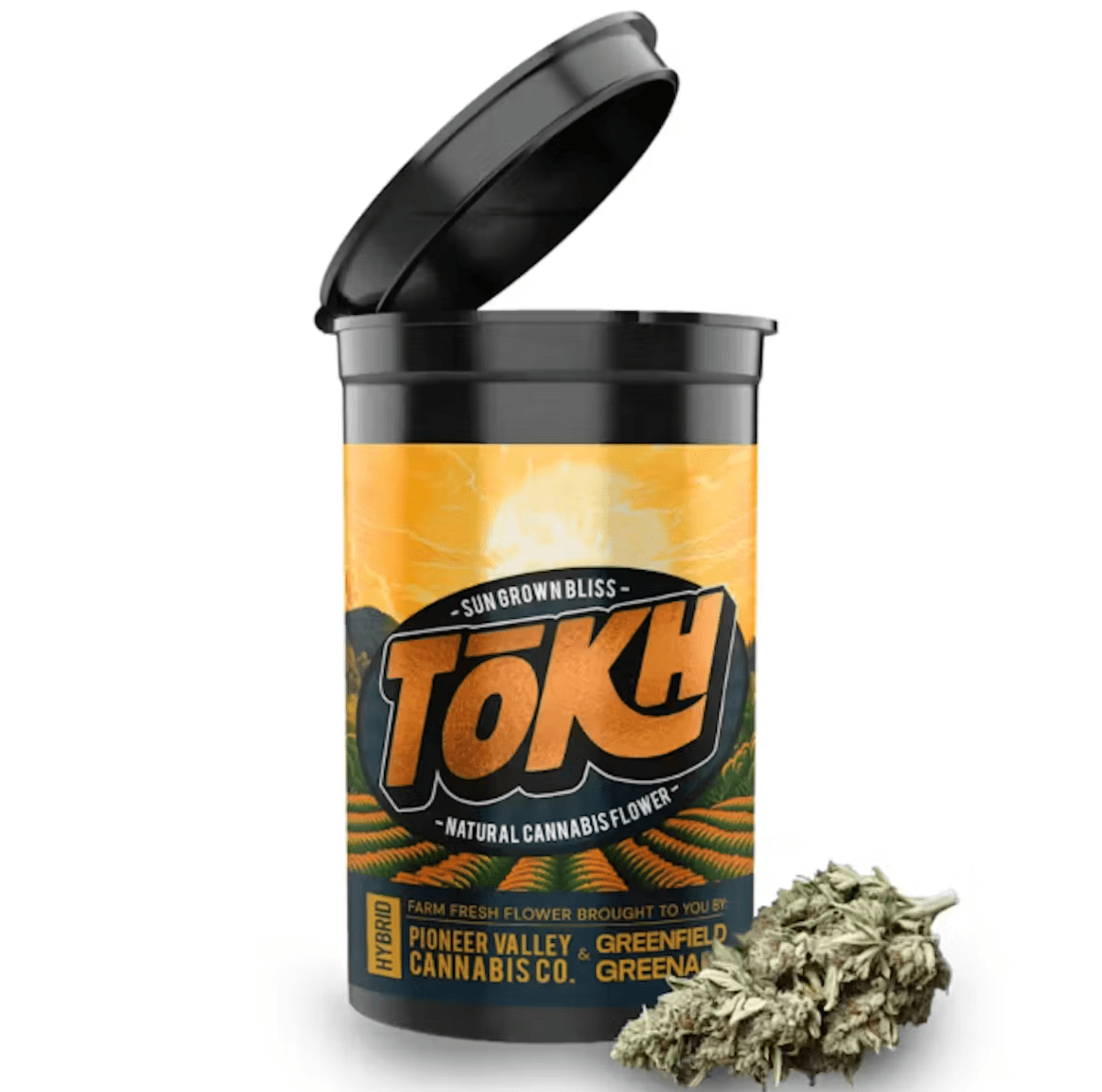 Tokh