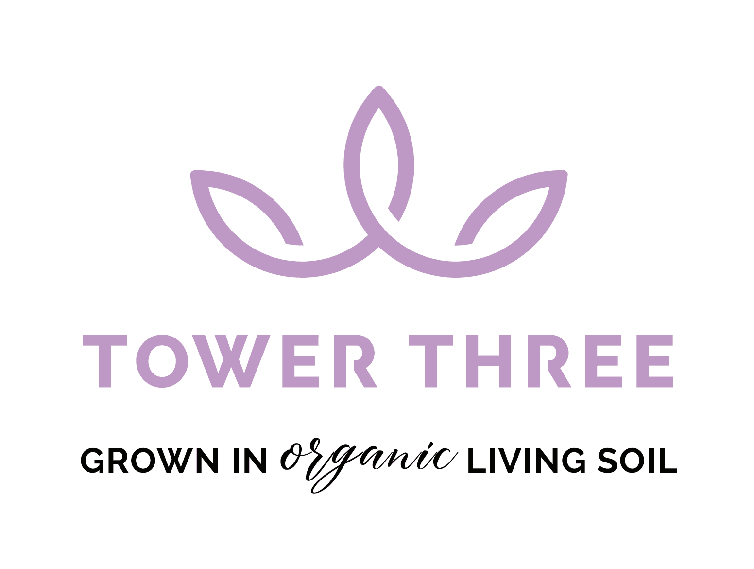 Tower 3 Tea Time (H)