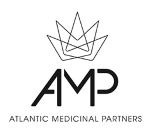 AMP Gelato Mint (H)