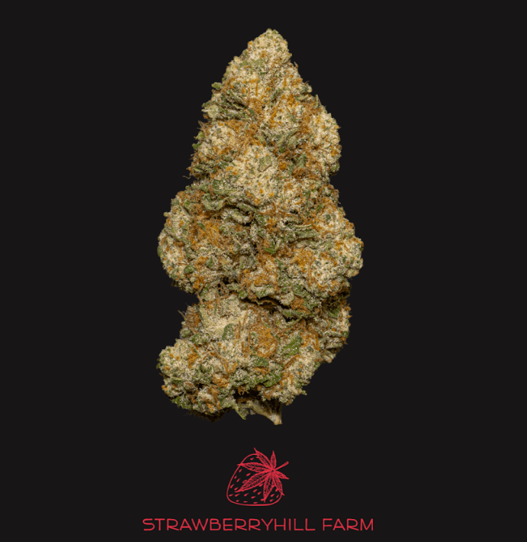 Strawberry Hill Farm White CBG Flower (3.5g)