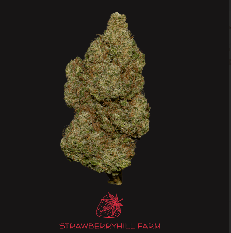 Strawberry Hill Farm
