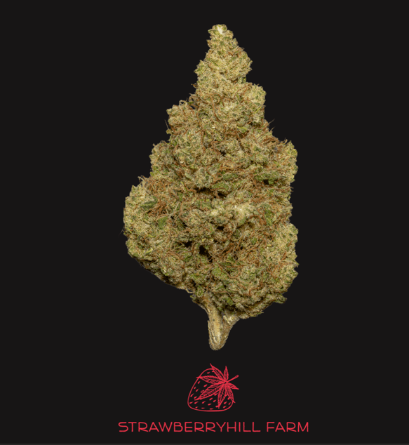 Strawberry Hill Farm