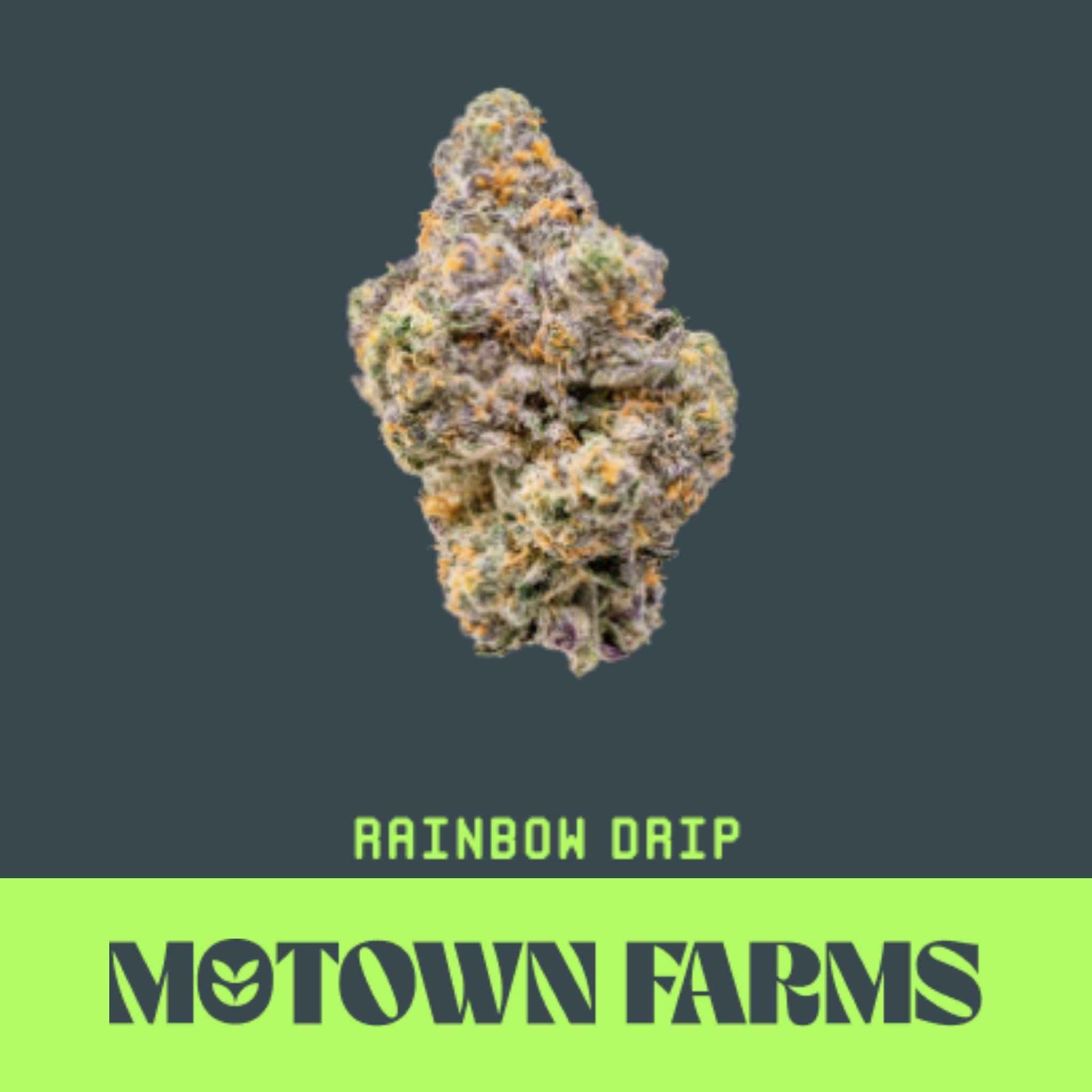 Motown Farms Motown Farms Rainbow Drip